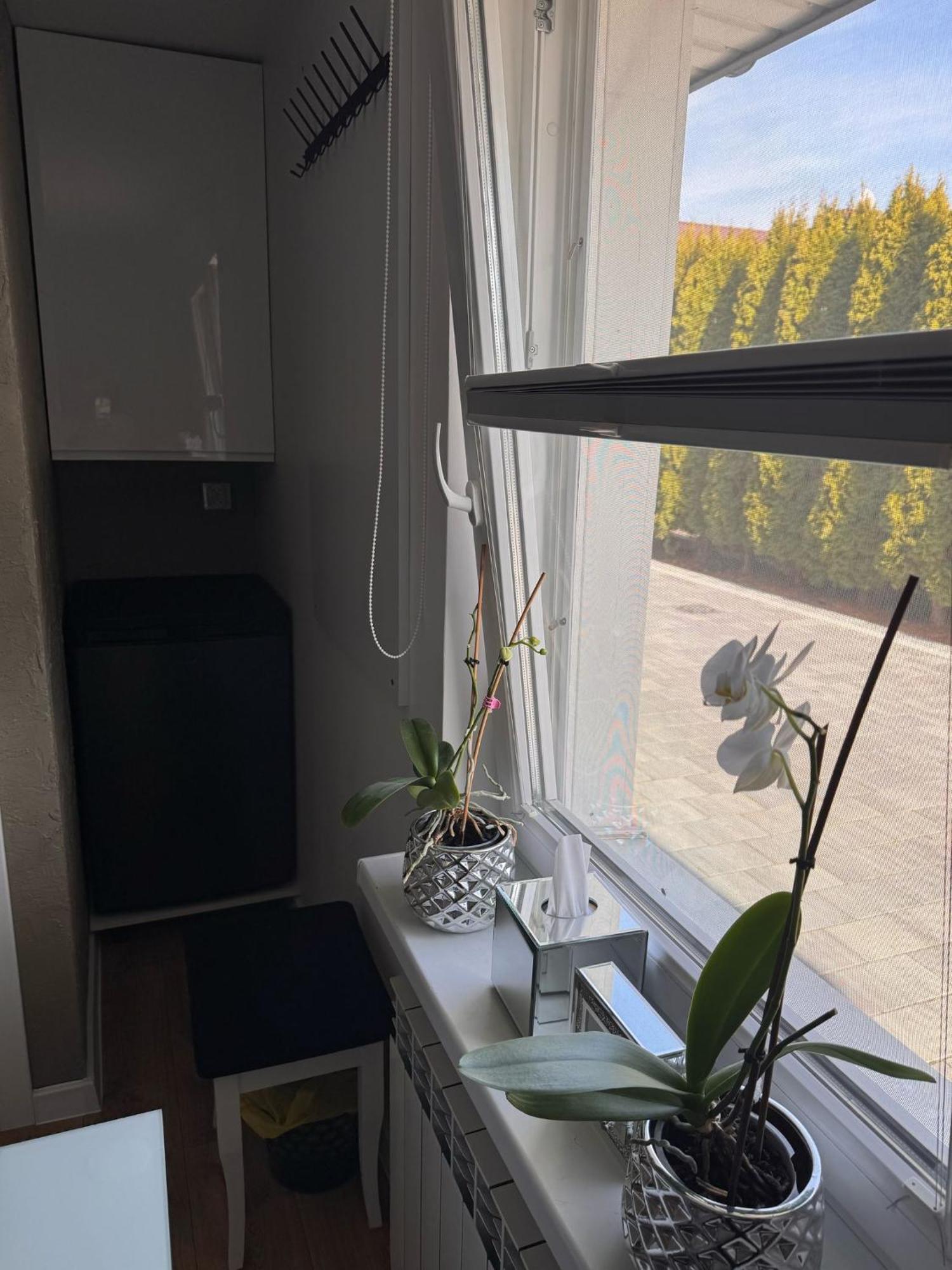 Hotel Wrzosowa Siedlce